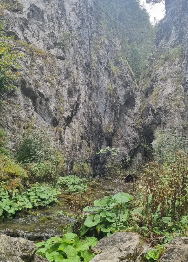 Apartmány ALTI , príroda